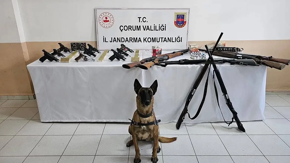 İskilip’te Silahlı Eğlenceye Jandarma Freni