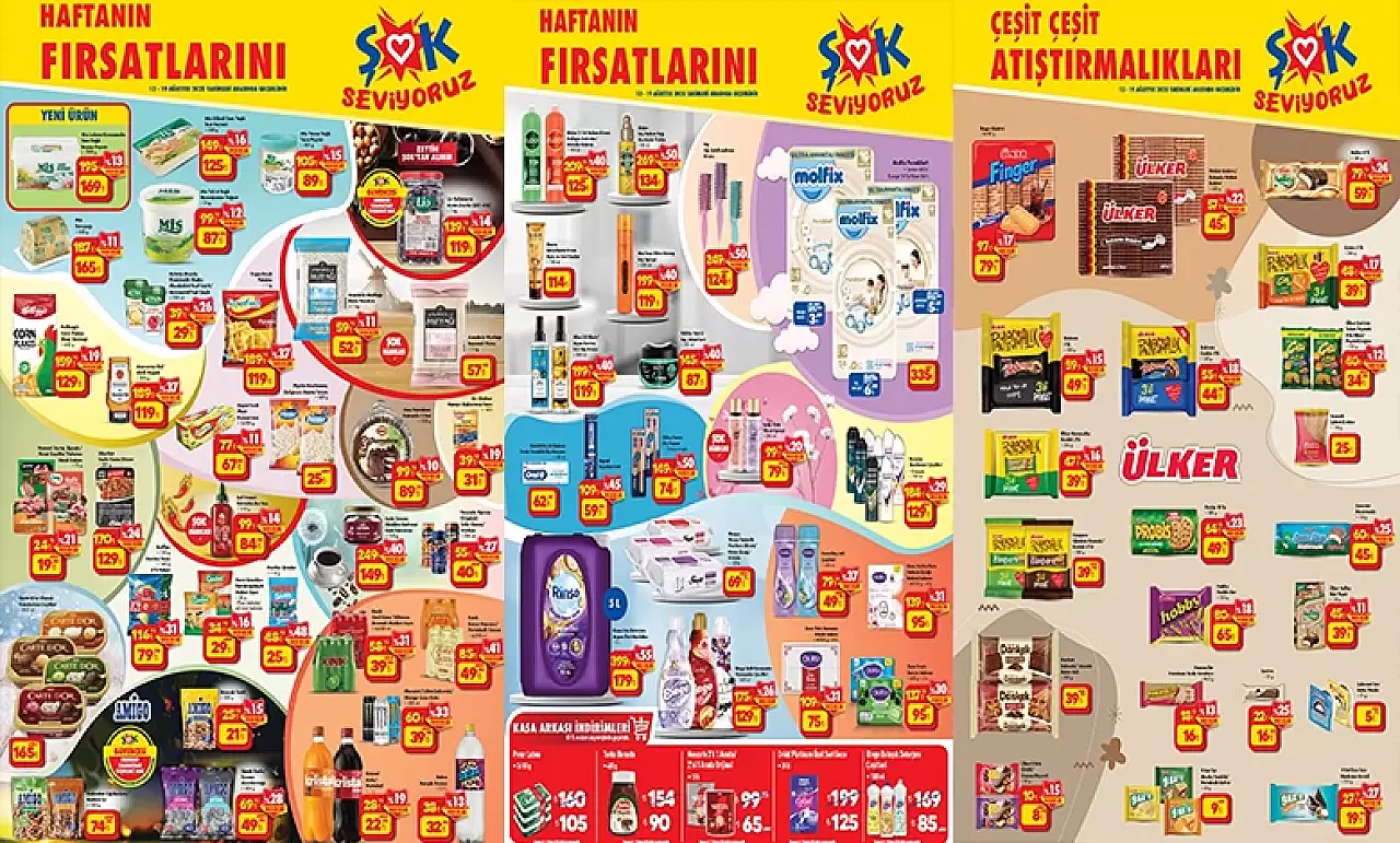 Şok 13 Ağustos 2025 Kataloğu Aktüel Ürünleri
