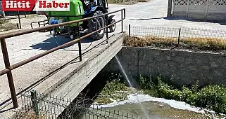 Alaca'da Belediye Karasinek ve Sivrisinekle Mücadeleye Hız Veriyor