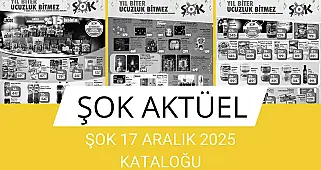 ŞOK 17 ARALIK 2025 KATALOĞU