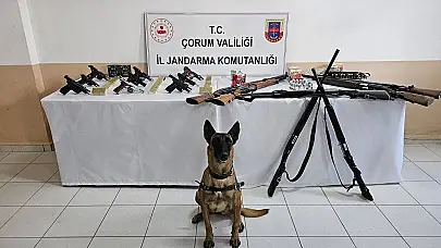 İskilip’te Silahlı Eğlenceye Jandarma Freni