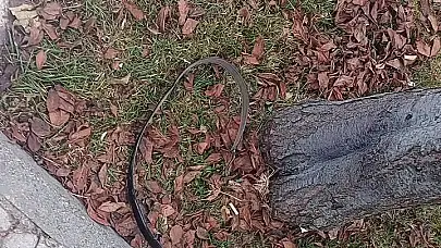 "Şakalaşırken Oldu" Dedi, Kavga Çıktı!