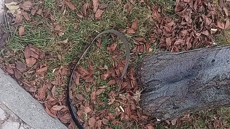 "Şakalaşırken Oldu" Dedi, Kavga Çıktı!