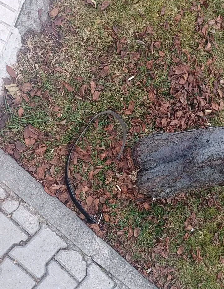 "Şakalaşırken Oldu" Dedi, Kavga Çıktı!